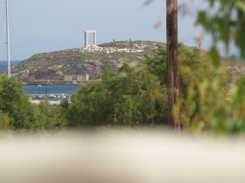 דירות Naxos City Vasiliki'S House מראה חיצוני תמונה